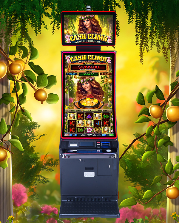 IGT's Zhao Cai Zhu Gettin' Piggy With It on the PeakCurve49 video slot gaming machine. 